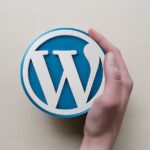 Cómo instalar WordPress localmente | On-Line.es